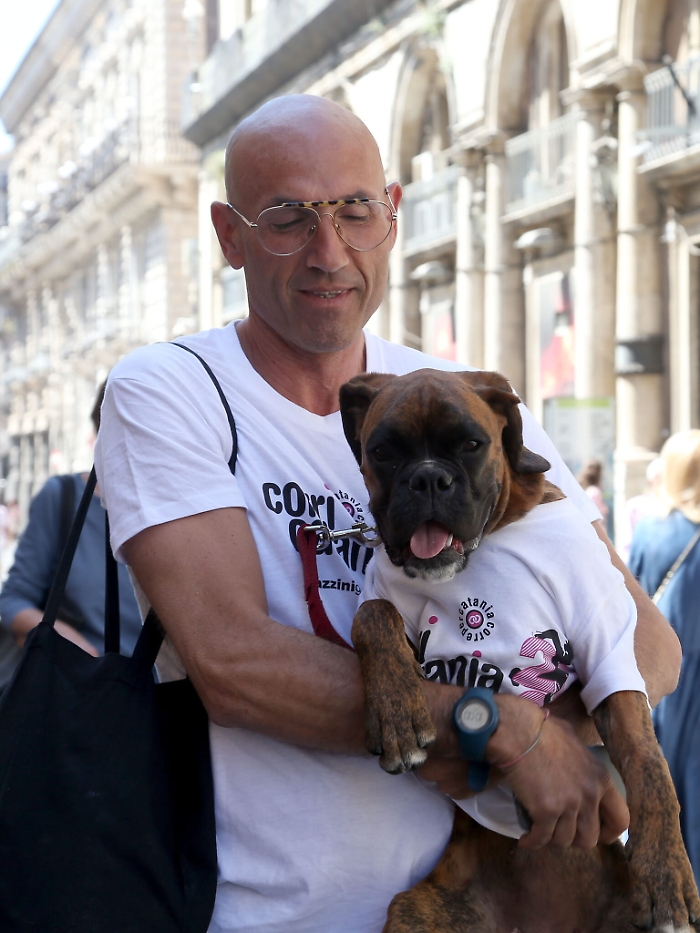 124215385-2ef965a8-3268-47af-8716-9a8bc04f6f59