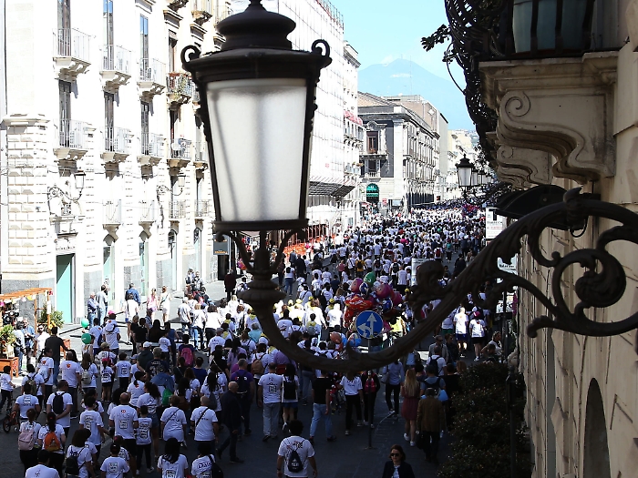 124215524-0d5a6bba-43f8-4759-b574-ca30a41b8ff3