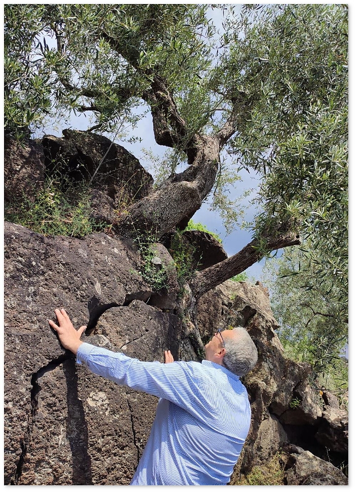 182308802-aeefca77-f4c8-4310-b7a1-3db811bbeaf5