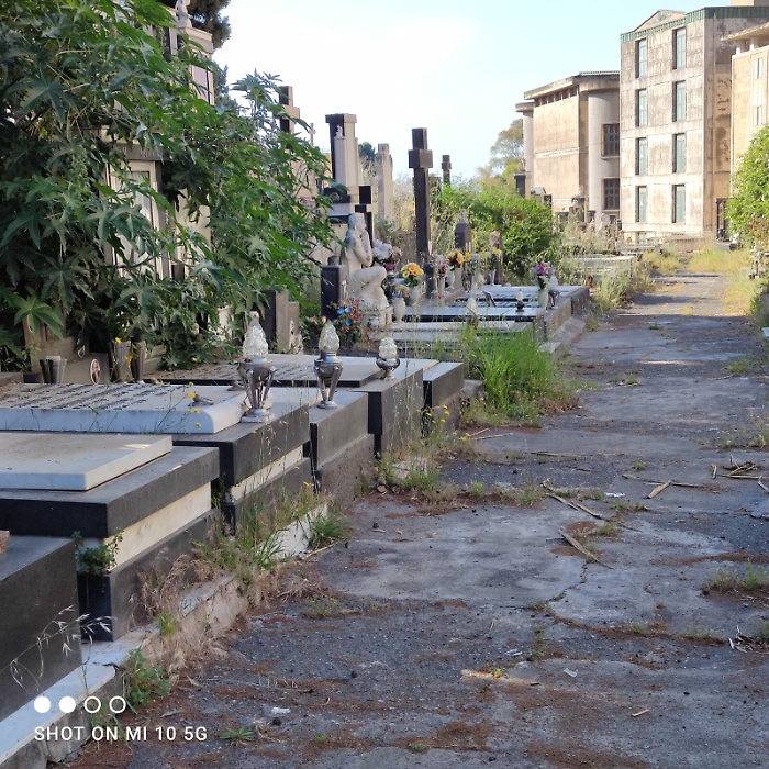 154633652-c625fcb1-5443-4d98-a3f6-4cd15a37f60c