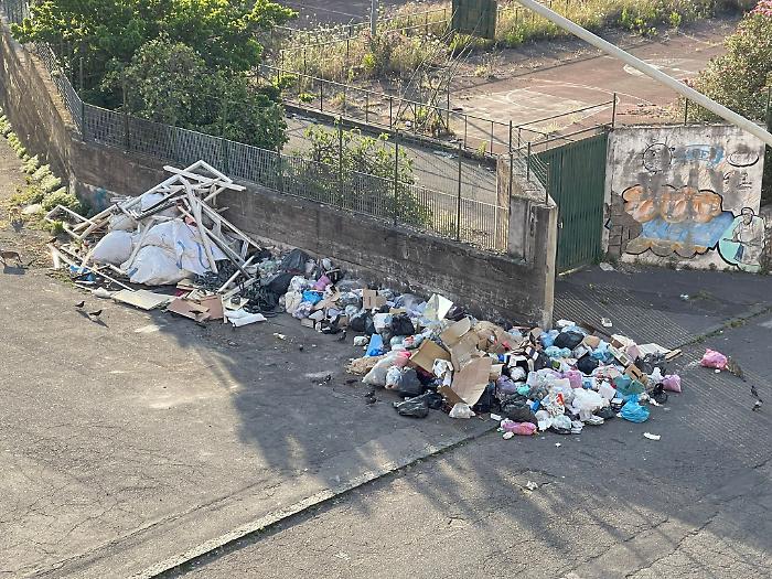 143132496-cf94f0cd-e499-430e-85e8-8130c0b5f22f