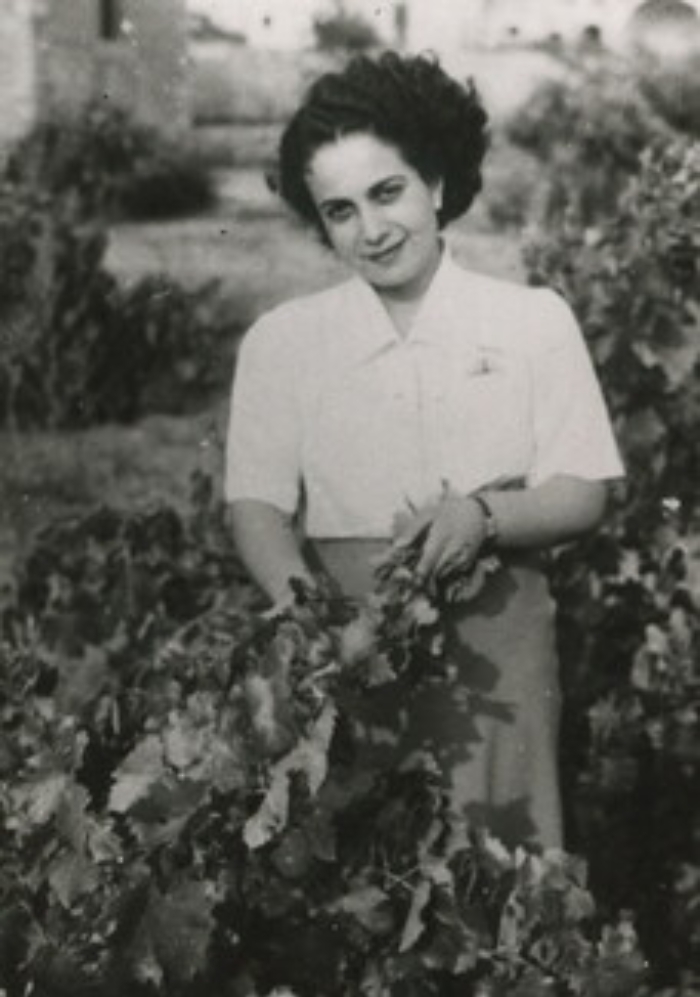 134935468-04d0d2f8-b668-4c2d-bff9-c945776393e2