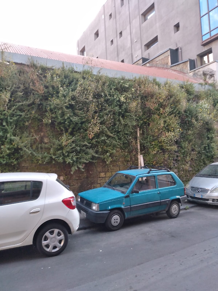 152436222-7796a174-ed6c-4725-9c6f-1db7ffacedc9