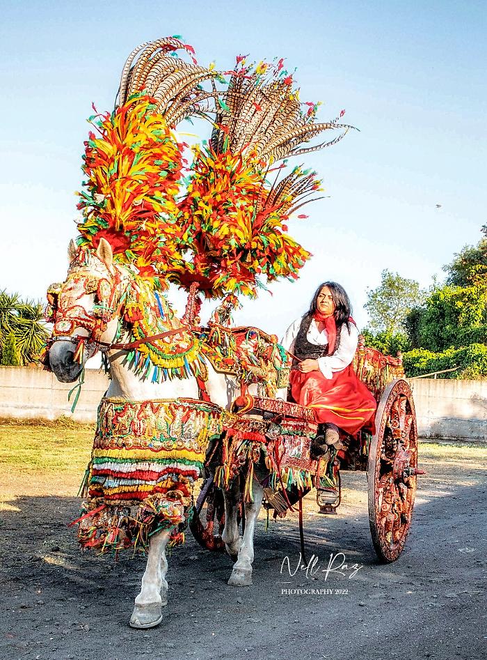 104310105-dd828eb3-9ef1-4931-9ad6-e043ae8f7baa