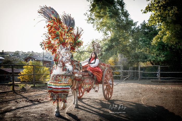 104345760-8a217502-dd92-4f7b-8e1a-bfa4270bb3e0