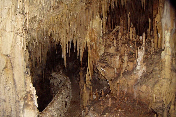 123146469-369a1071-b7ee-4fcf-a04b-c50d18431ef0