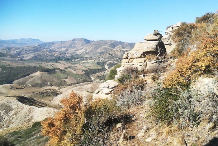 123229061-7bcf111f-b44c-4c1f-b170-6dd111b01be8