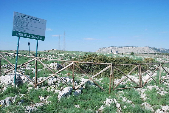 123229361-51321cac-ac17-4924-8c27-630312b10a38