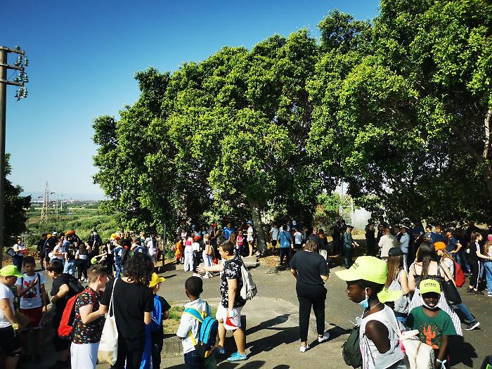 143812420-b4adc1ba-1275-4145-9ffc-30707e2ef1be