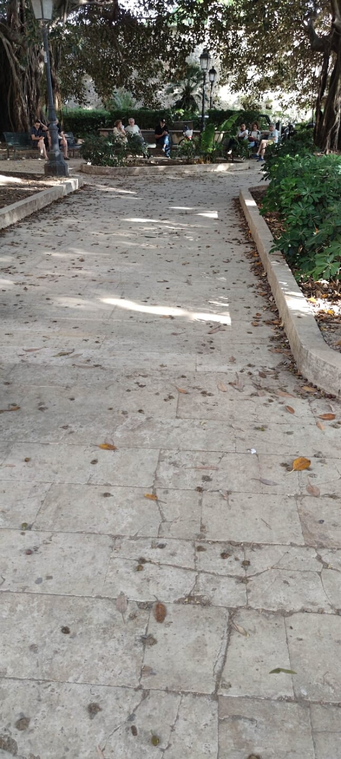 163155214-1ee03cae-d502-4c43-aad8-fdfe8f71b945