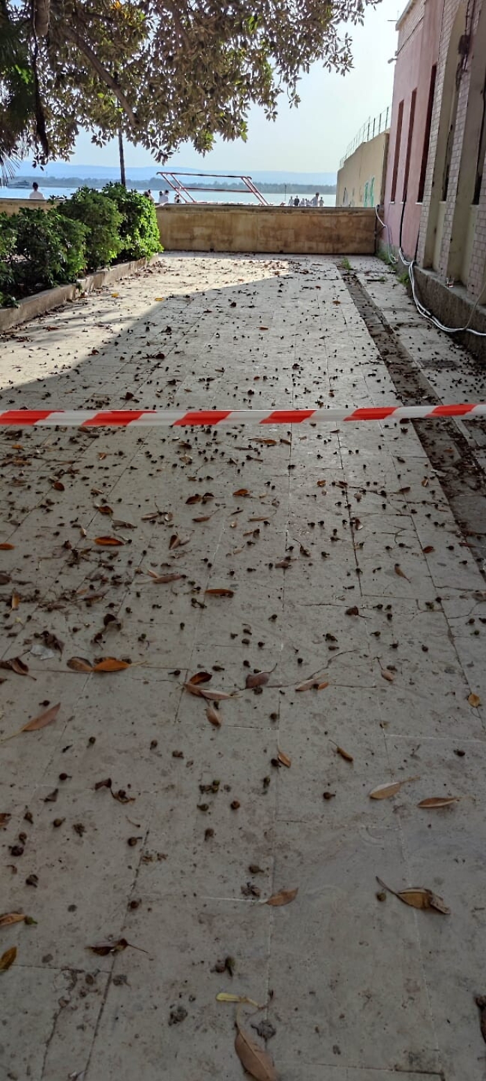 163155691-120b85b3-cd92-4200-b3e7-5eedd5f03544