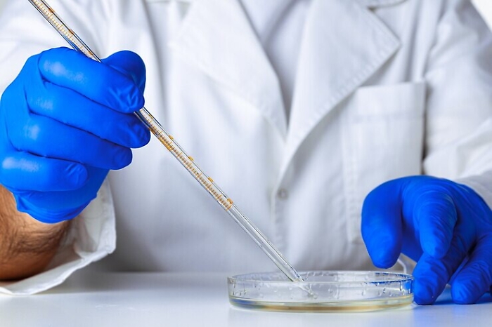 204225184-0e2d1c69-e689-4097-81d8-394964ba15d5