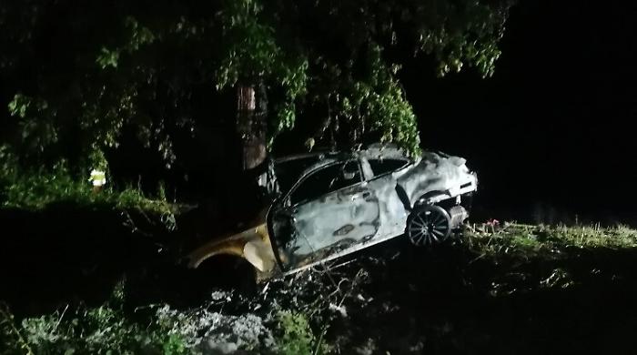 191949624-5606d195-13df-41ea-a276-9609f559afd9