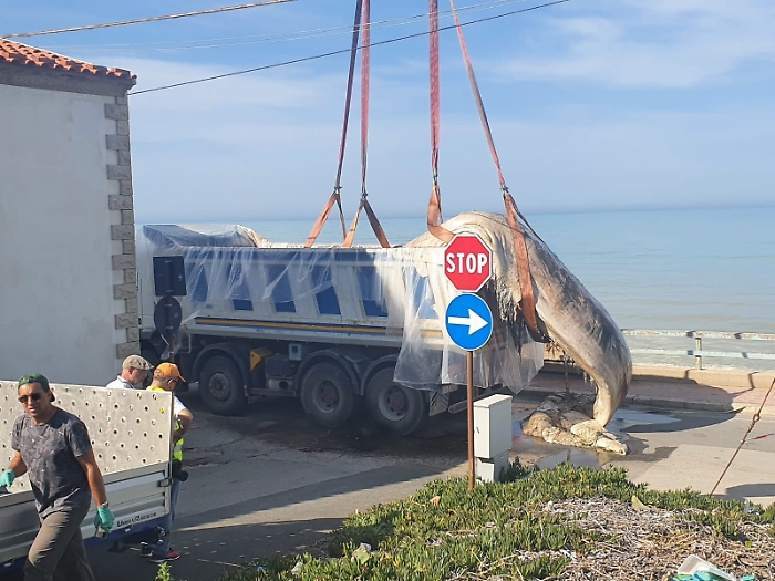 163447763-19395c57-2532-434d-88b1-2c0ac694481f