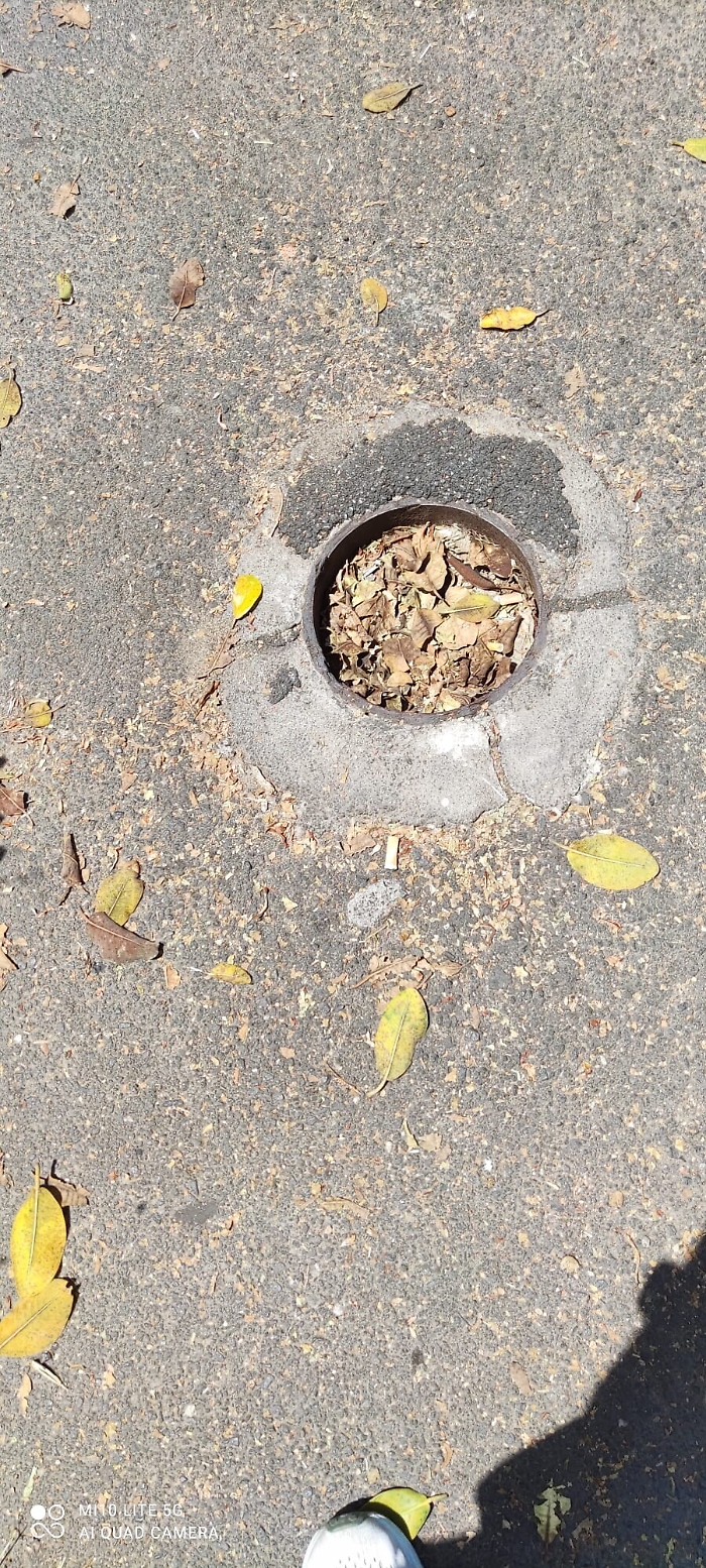 110709302-9e44b65c-9dab-42bd-8fc2-a55ba1ae3424