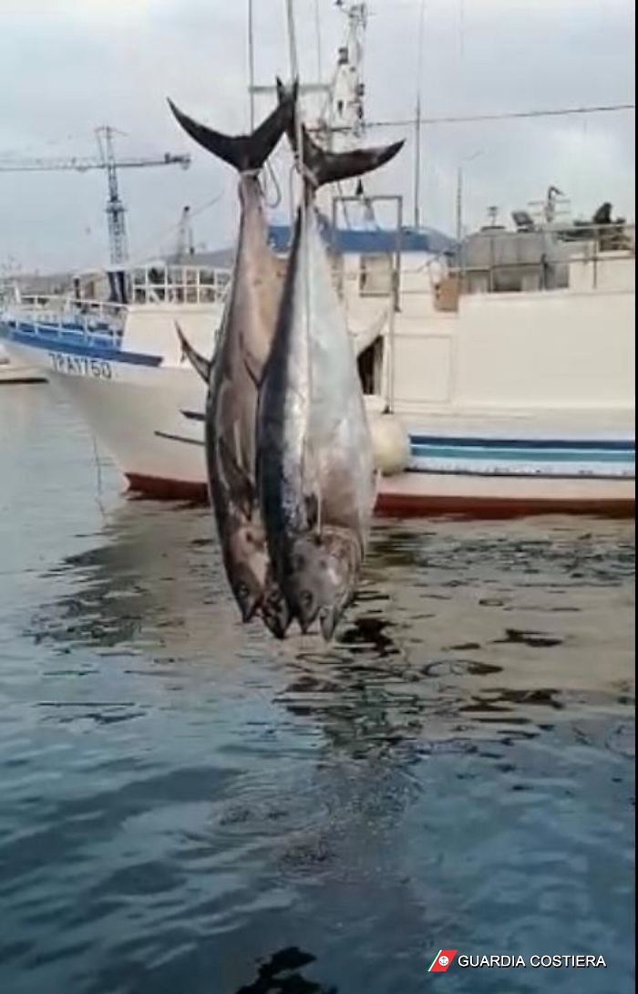 190903902-1f060412-db1c-491f-95c8-b6fe2521a4ac