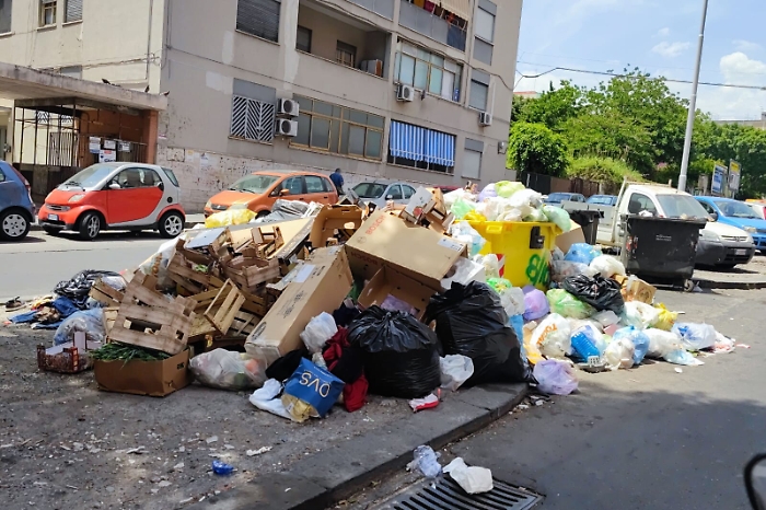 075006277-735c2b4d-c0ac-4c81-8c9e-b6e1dea44fcb