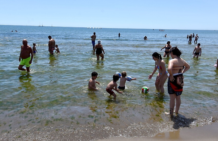 123605106-5dbc4683-1782-4327-9f74-eb4ab81c41d0