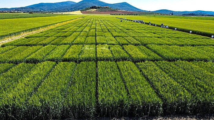 155424603-792b876e-5314-4ccb-a18f-3e80c5708a24