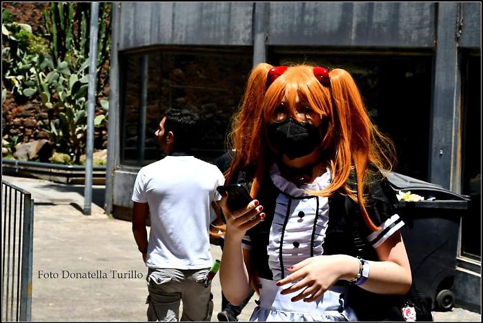 161725704-4263eec2-28ea-45cd-8555-9d4702ae45d3