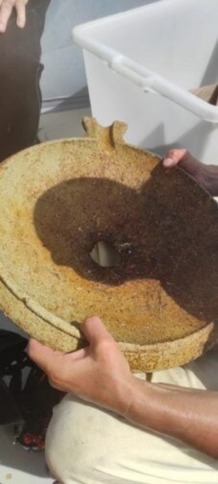 075820079-e0572ded-c5df-4af2-b249-d45009664969