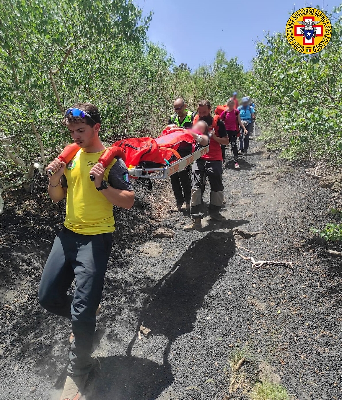 133823875-2d2e3a2d-dc63-4952-ada4-656dbca81b8f