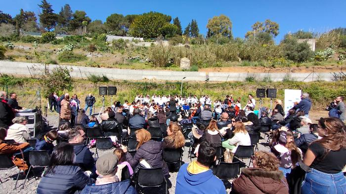 104816990-c525cc48-fc20-4255-8e73-88d3c5ec4307