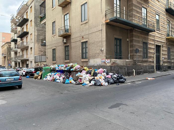 152842746-45c23a31-85b6-4544-9b3a-32fe73154129