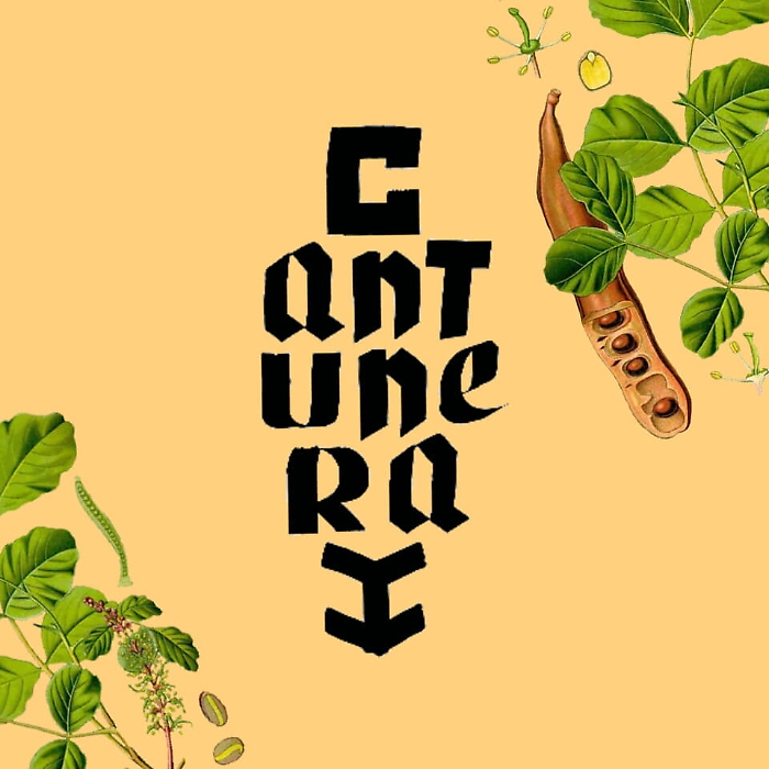 190820869-aca541b0-59f7-4433-a3d9-dcaed88c63b9