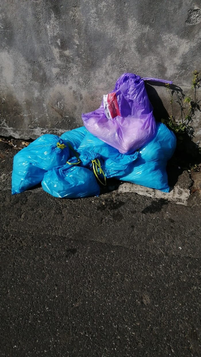 173536011-10a08fc5-145b-4557-bbf5-1d324f38980f