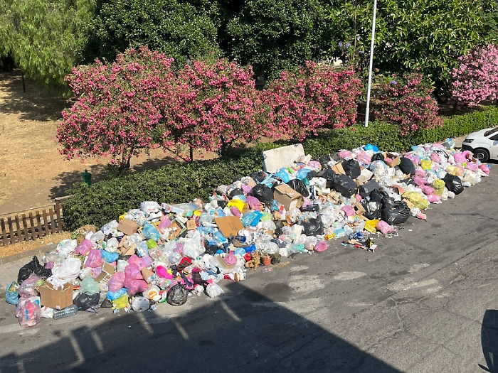 173536074-a5d1ae38-6b53-4c7f-bfc5-f2bcf5b6929a