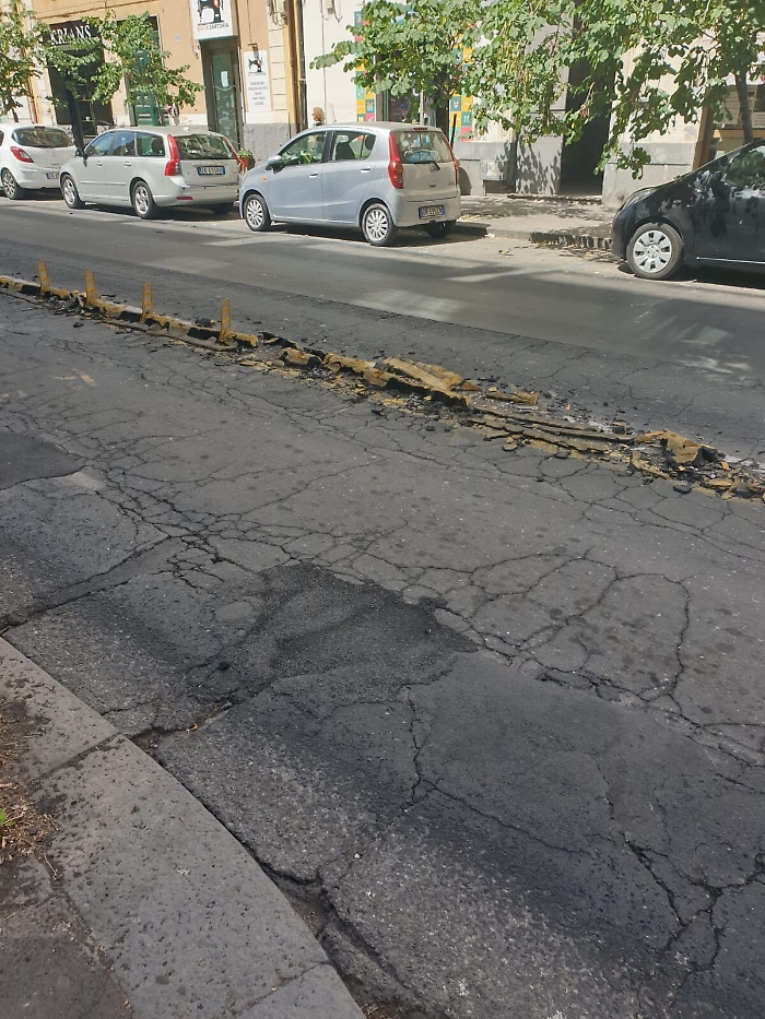 155653283-4c5cea72-b0f6-4a6a-9b39-3d3c6dc8df89