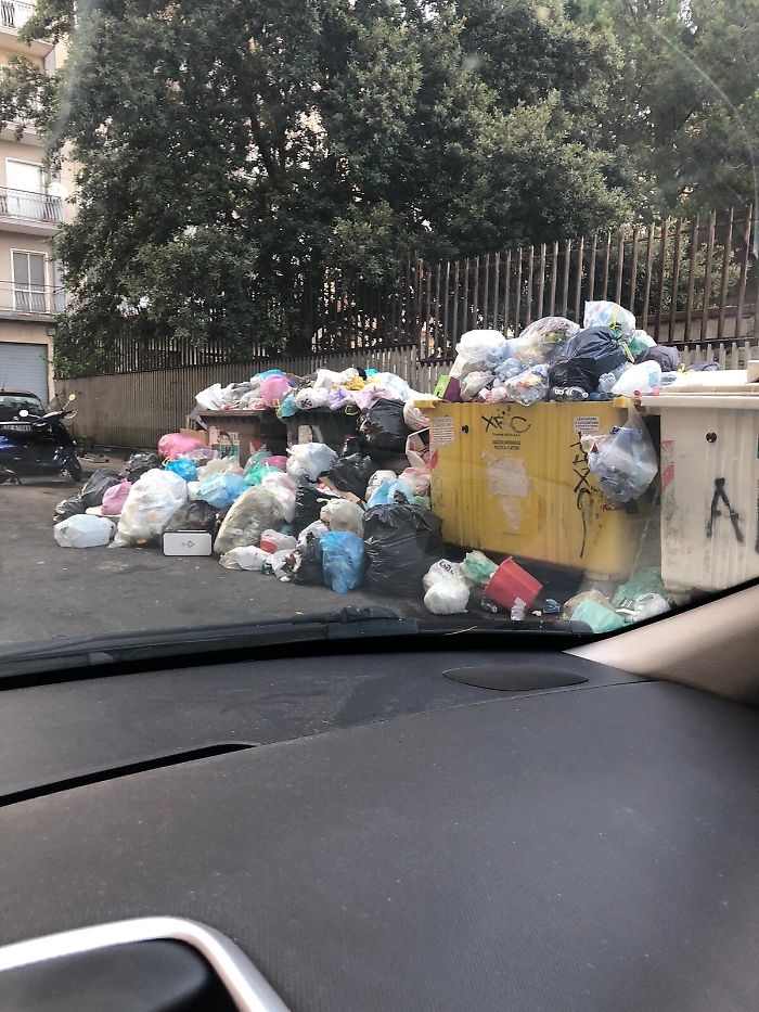 085012309-f74c5c12-e5fb-49be-a3dd-61fff60a86fb