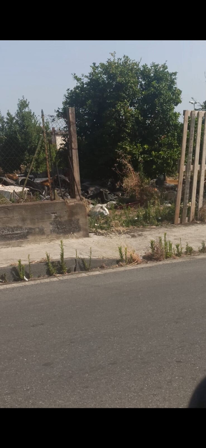 155510088-9bb99c7f-c47c-41c2-b268-41efd259bef2