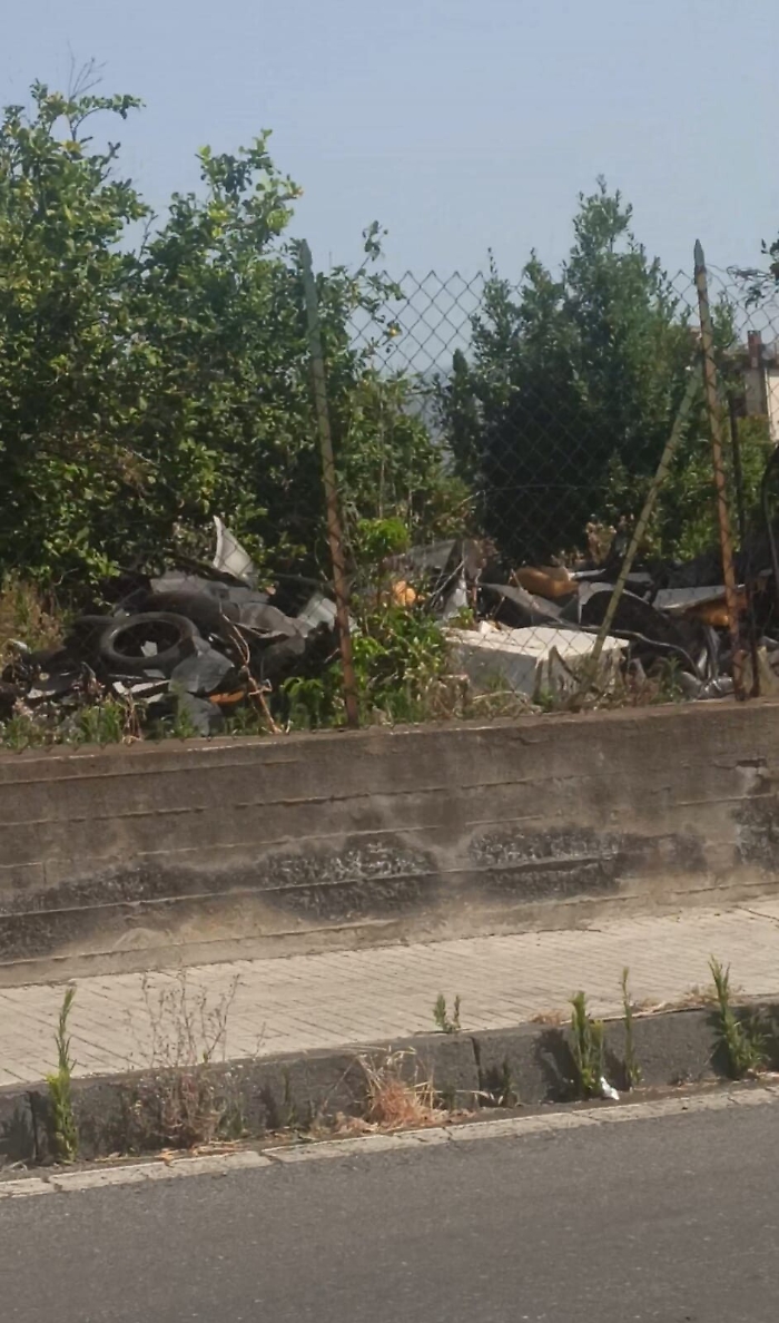 155510112-1f00964d-0604-492e-8c3b-75afa45f0083