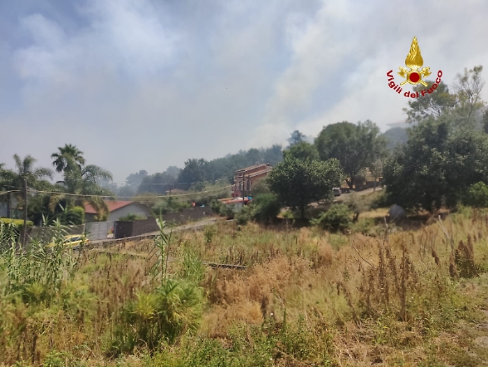 163651268-304a77e4-1801-4f4b-b19b-7b32f7b28b7b