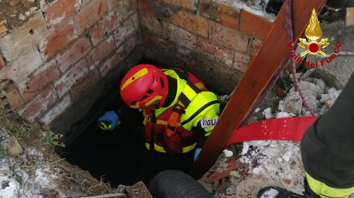 093957710-90e38e9f-bfab-4b9d-ad3b-bb8fdde68e21