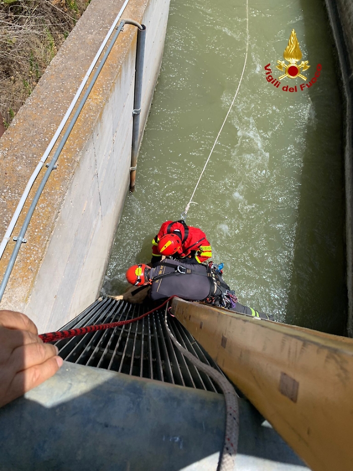 193114696-a6657438-eea5-42d4-9c2e-fc789082555c