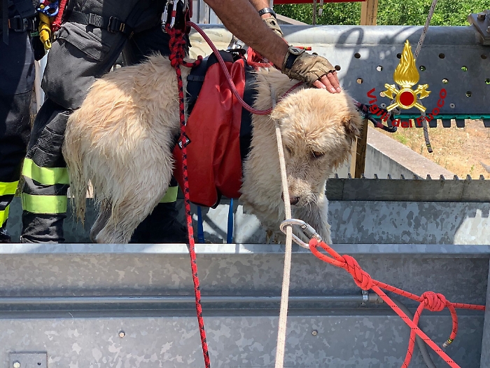 193145294-66235fc9-9afb-4bac-891c-761d79aba68d