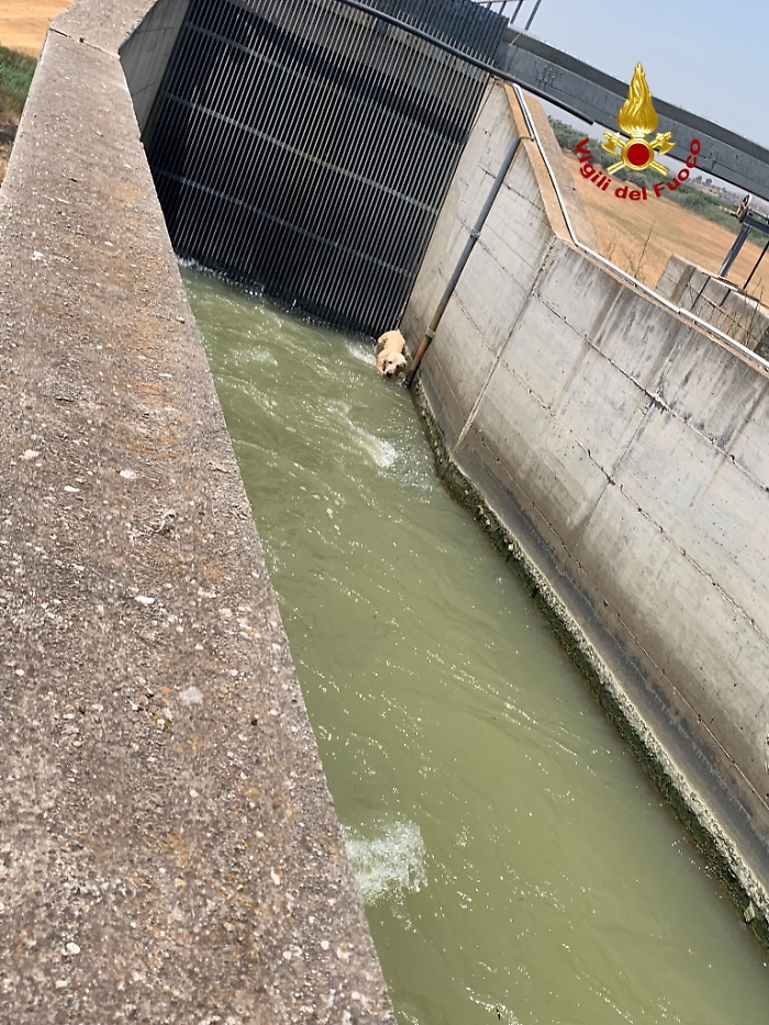 193214399-6cc4d39f-02c8-401a-816c-e17b66cda76e