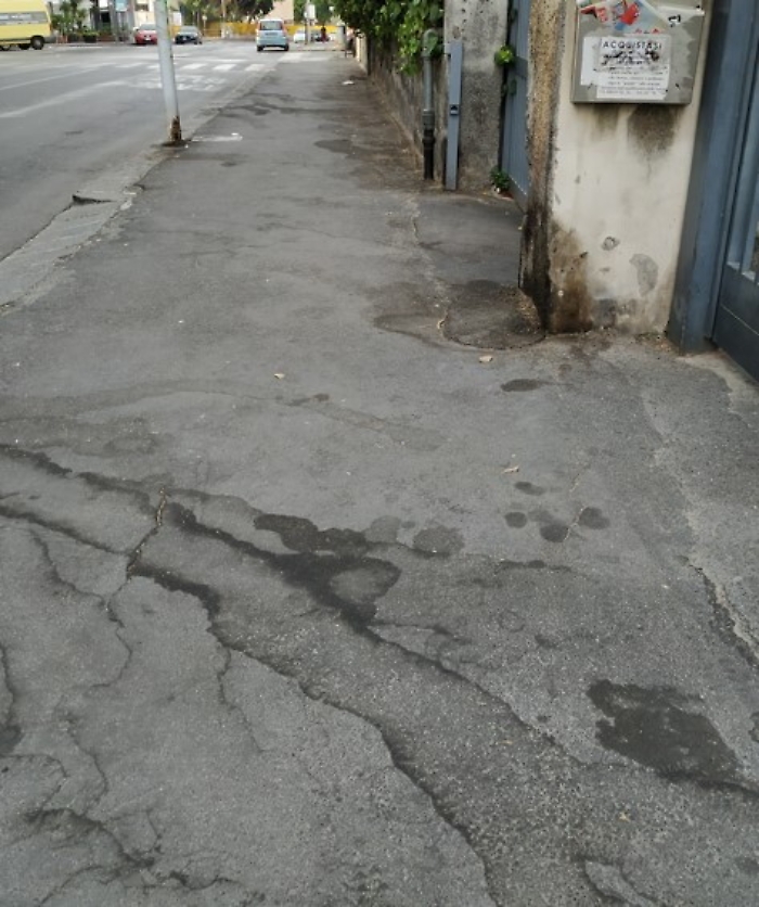 101728588-d38a3705-82a7-4e64-a9a0-005b0194d566