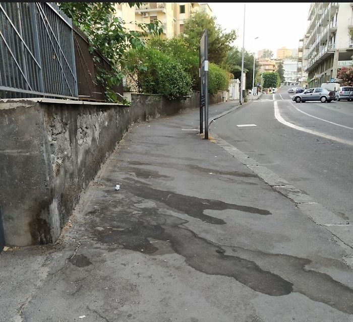 101728614-3a50d77e-a334-4f85-bd63-b31375d7da73