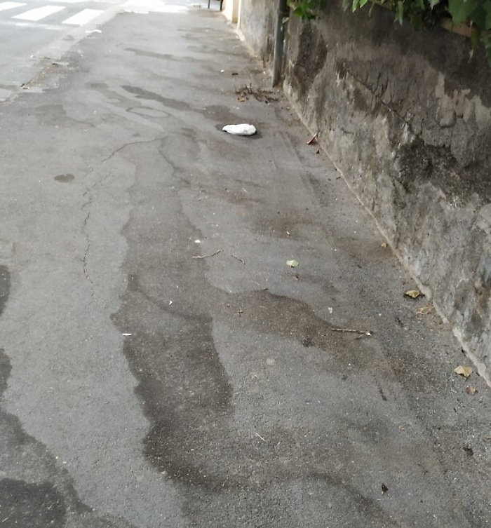 101728641-4513ce5e-0a6d-427a-a63c-cf9cb51290c4