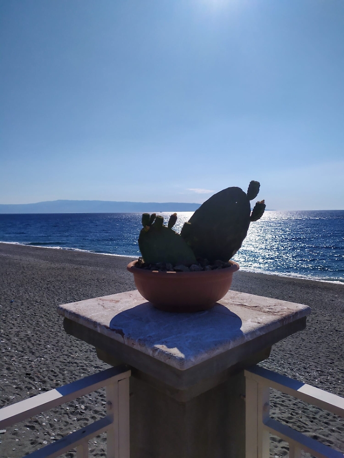 145715545-a490c1e5-f988-4ece-92c1-6b0a34b6d782