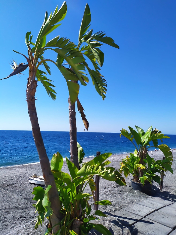 145818211-121c6669-d502-4784-b400-71e6bdcf4f1c