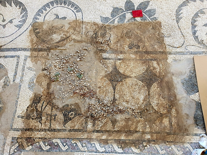 180318700-b747dbb3-0f8d-4ef3-9704-c488ac134425