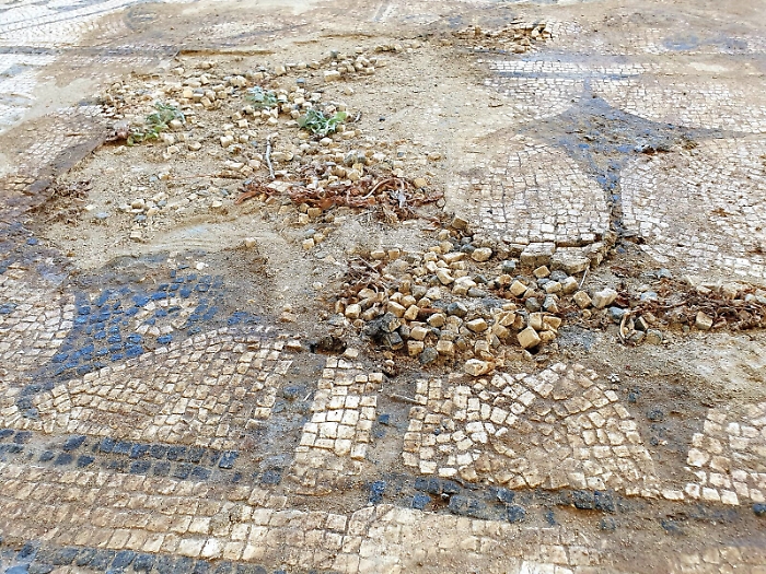 180318792-b3b1ec8f-4e43-42a4-809d-b09036103956