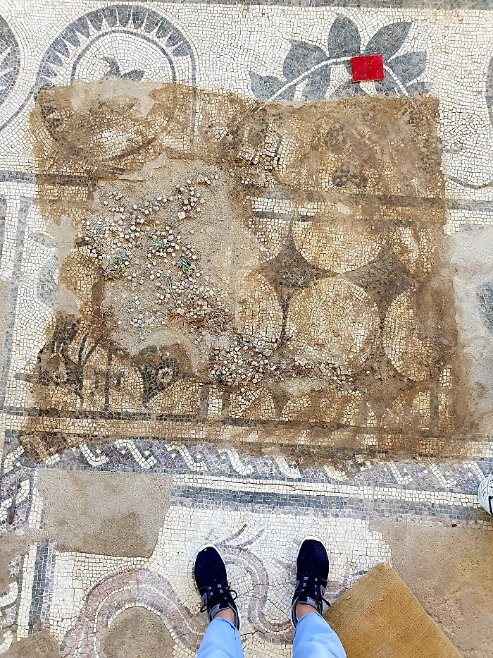 180356808-91cb1799-e806-4c6e-a8d3-d406c3ad80a9