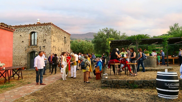 193207801-f2845259-dea5-4f3a-b150-1c878a6f608c