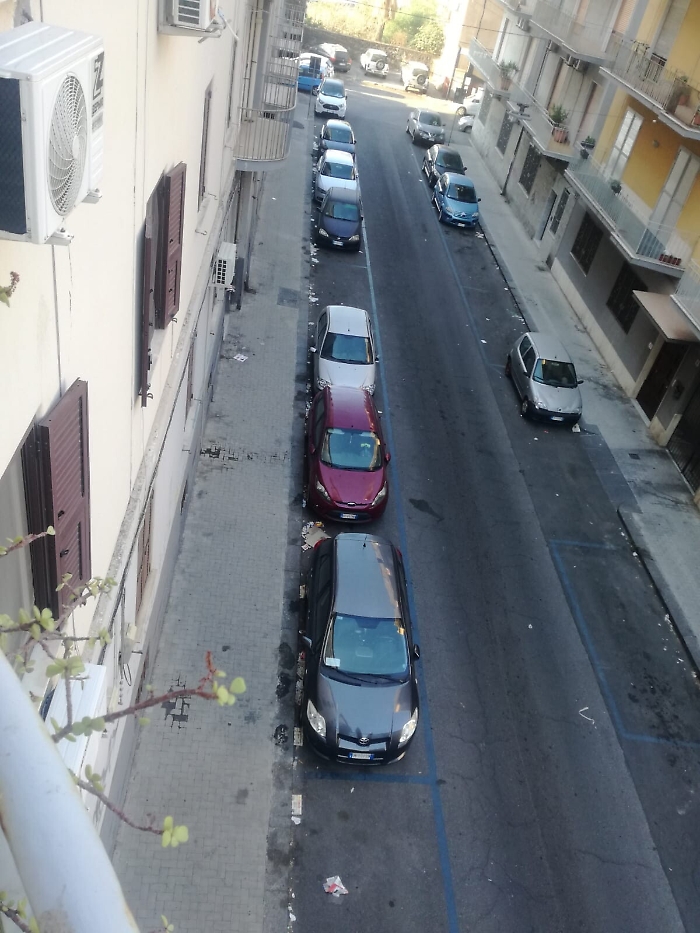 084355206-31d68ec8-8137-41a0-9110-cf5b5c907a47